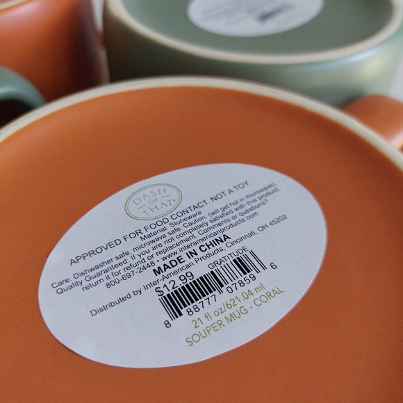 New Set Of 4 FALL SOUP Mugs Bowls Oversized Coffee Cup DASH THAT BRAND (B) - Picture 6 of 6